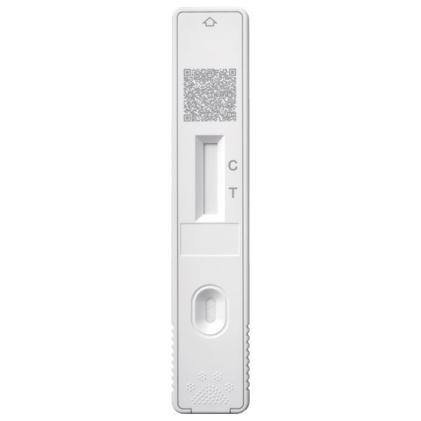 Immunological test kit for the detection of CDV Ag